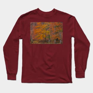 Red forest Long Sleeve T-Shirt